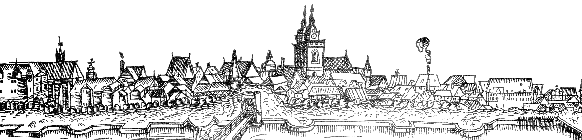Stadsaanzicht van Wittenberg